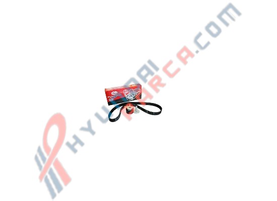 TRİGER GERGİ KİTİ (RENAULT) K015578XS-YS